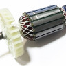 Якорь для УШМ STAVR SAG 24-230RSC